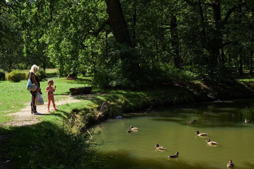 Pałac i park w Leśnicy