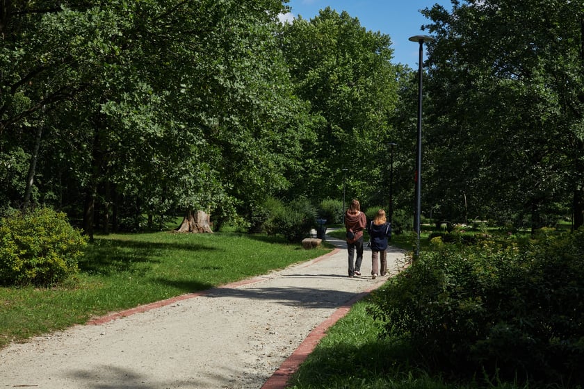Pałac i park w Leśnicy
