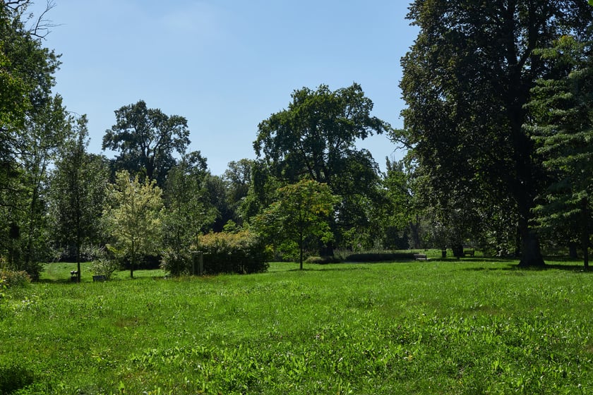 Pałac i park w Leśnicy