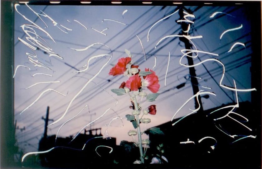 Nobuyoshi Araki, Untitled (from the series_ Obscenities), 1994 Sammlung Hoffmann, Berlin; &copy; Nobuyoshi Araki