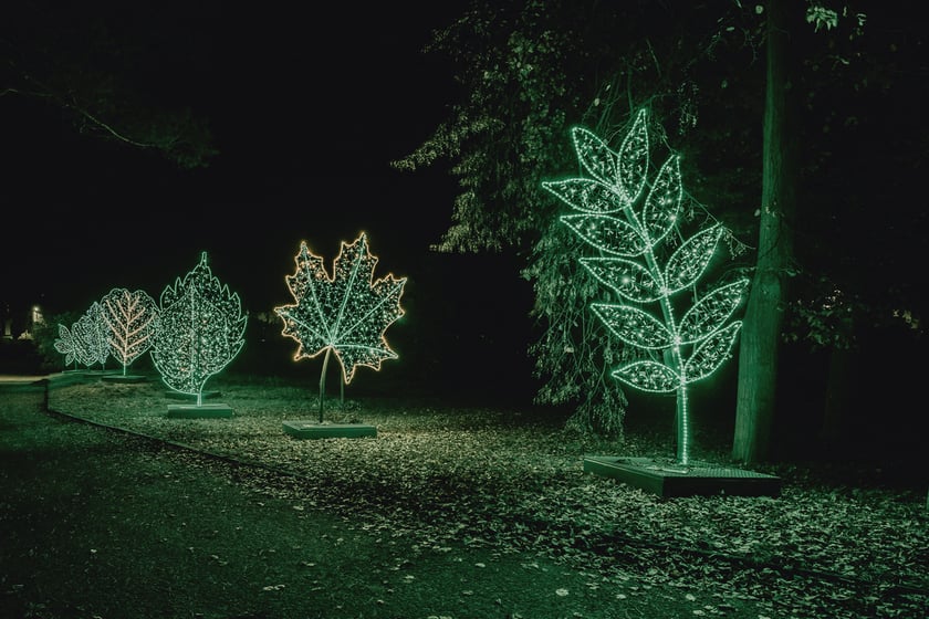 Bajkowy świat czeka na dzieci i dorosłych w Zamku Topacz pod Wrocławiem. Lumina Park zaprasza pod koniec października