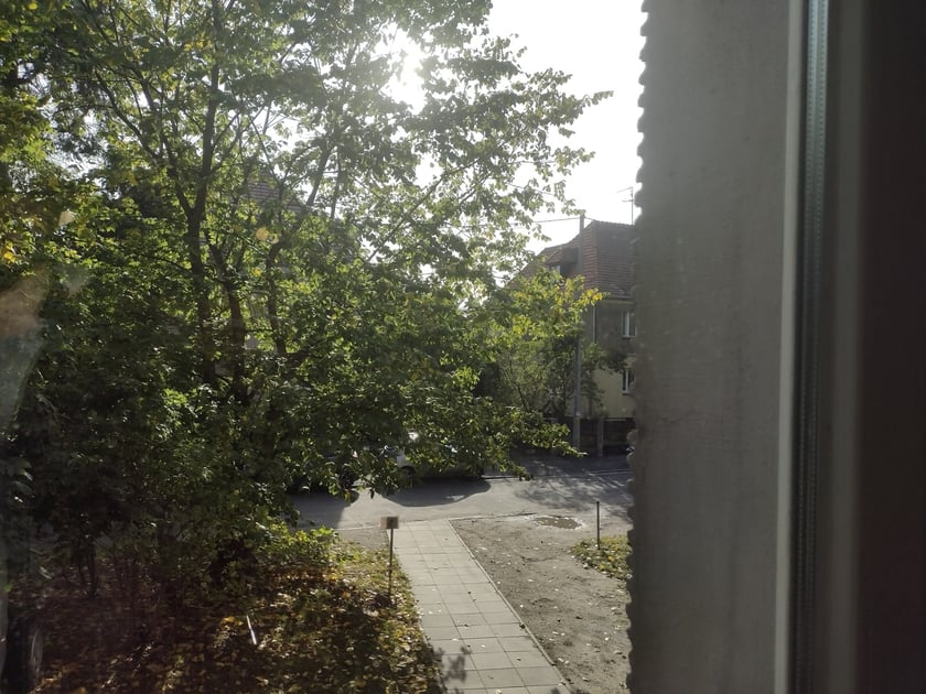 MBP filia nr 54, ul. Jesienna 22