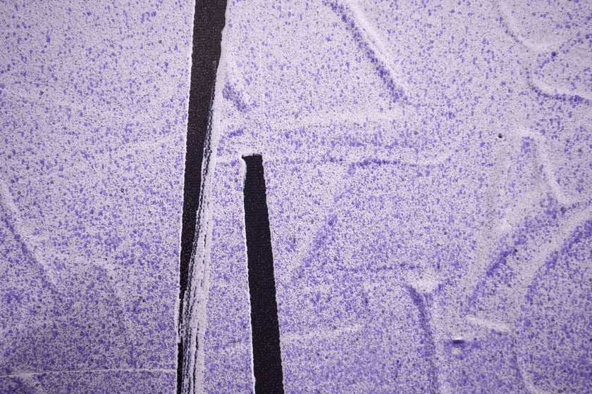 Fragment obrazu Jacka Jarczewskiego, Galeria Miejska we Wrocławiu