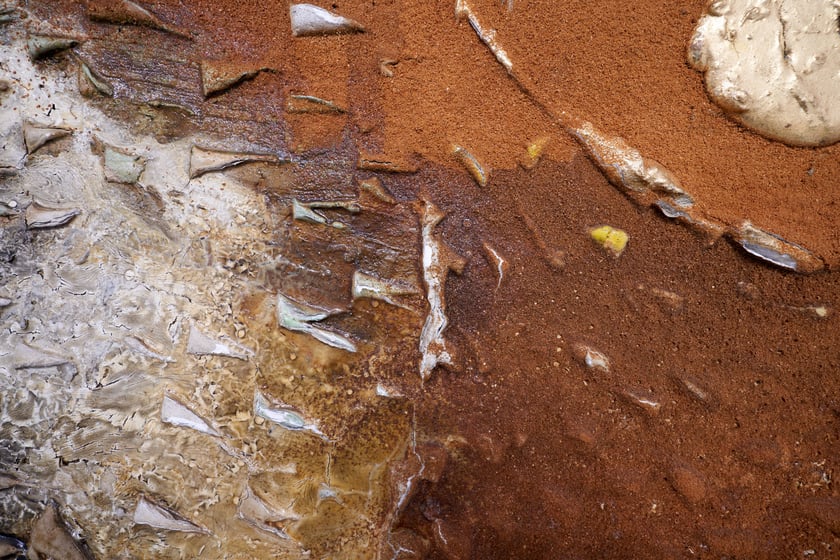 Fragment obrazu Jacka Jarczewskiego, Galeria Miejska we Wrocławiu