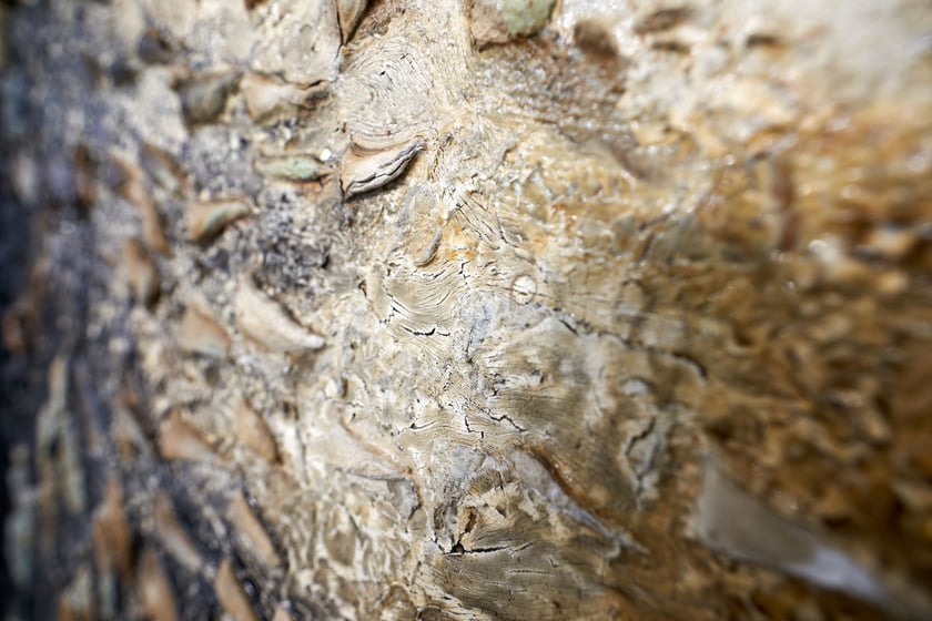 Fragment obrazu Jacka Jarczewskiego, Galeria Miejska we Wrocławiu