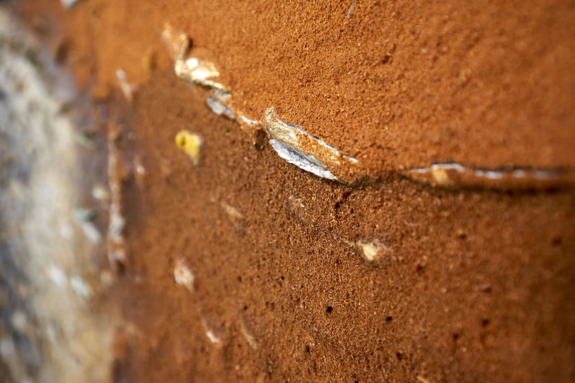 Fragment obrazu Jacka Jarczewskiego, Galeria Miejska we Wrocławiu