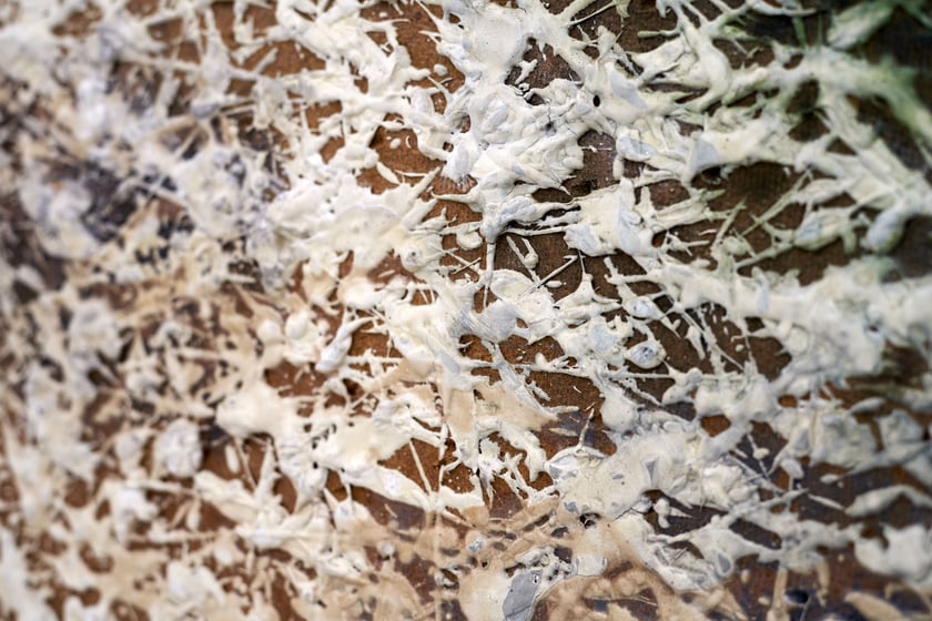 Fragment obrazu Jacka Jarczewskiego, Galeria Miejska we Wrocławiu