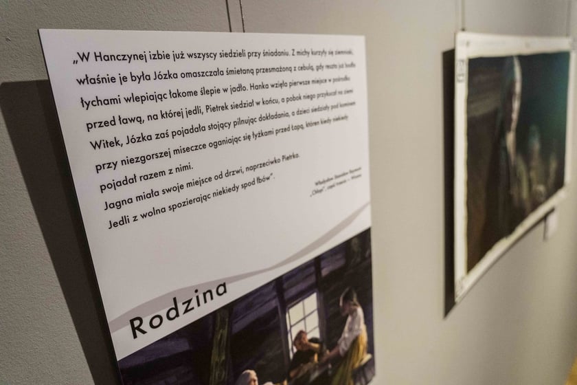 Wystawa obraz&oacute;w-klatek filmowych z &bdquo;Chłop&oacute;w&rdquo; Doroty Kobieli-Welchman i Hugh Welchmana w Pałacu Kr&oacute;lewskim