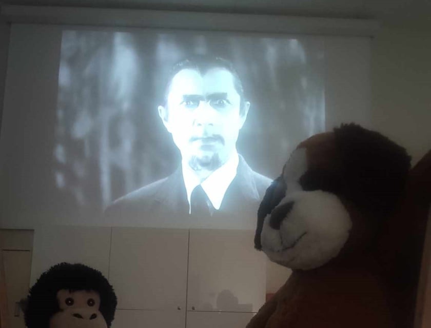 Seans z cyklu&nbsp;Napisy Końcowe Horror Show