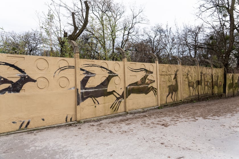 Mural autorstwa Jerzego Wołoszynowicza na ogrodzeniu zoo we Wrocławiu