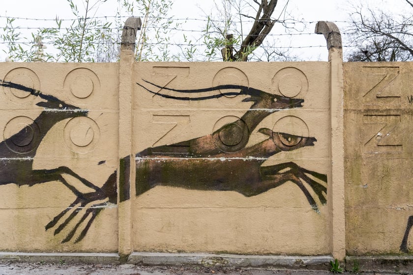 Mural autorstwa Jerzego Wołoszynowicza na ogrodzeniu zoo we Wrocławiu