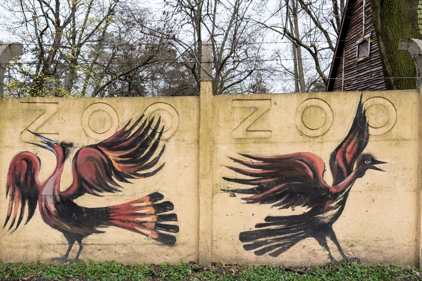 Mural autorstwa Jerzego Wołoszynowicza na ogrodzeniu zoo we Wrocławiu