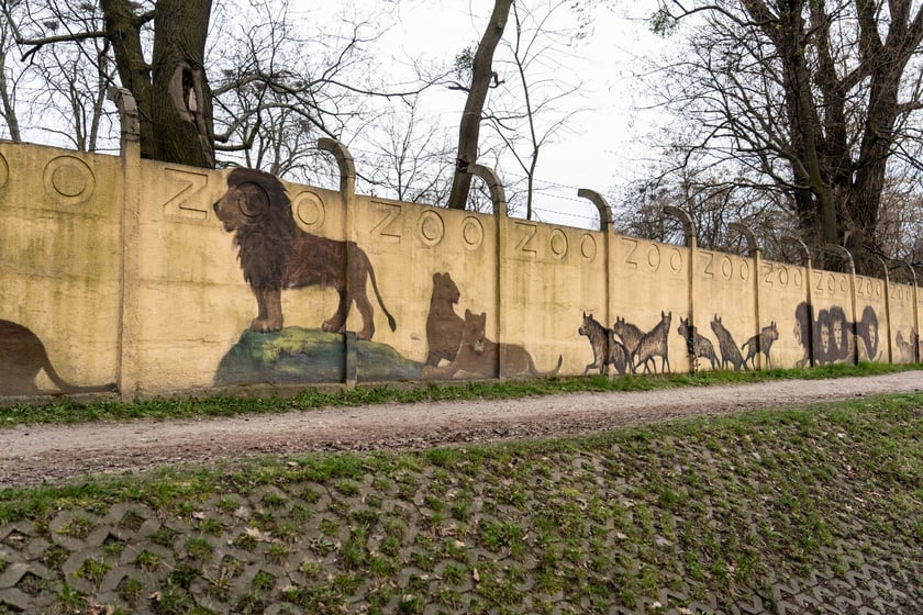 Mural autorstwa Jerzego Wołoszynowicza na ogrodzeniu zoo we Wrocławiu