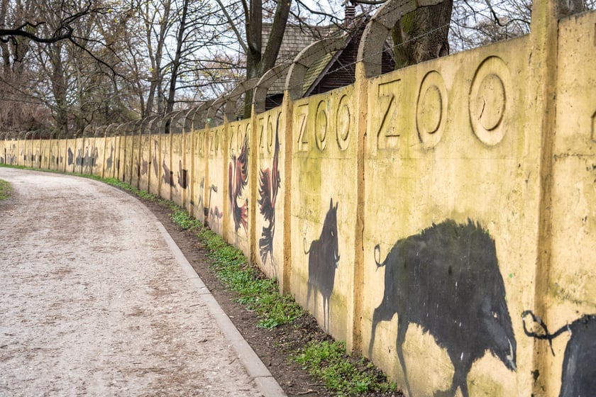 Mural autorstwa Jerzego Wołoszynowicza na ogrodzeniu zoo we Wrocławiu