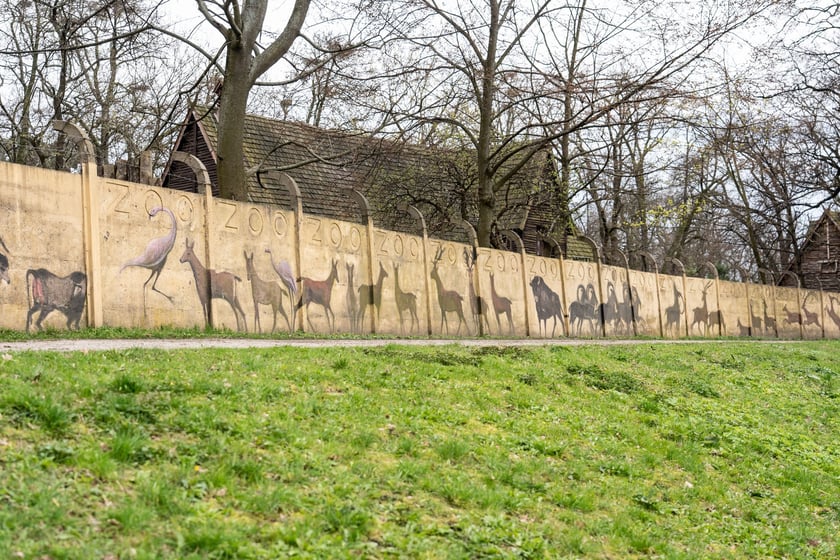 Mural autorstwa Jerzego Wołoszynowicza na ogrodzeniu zoo we Wrocławiu