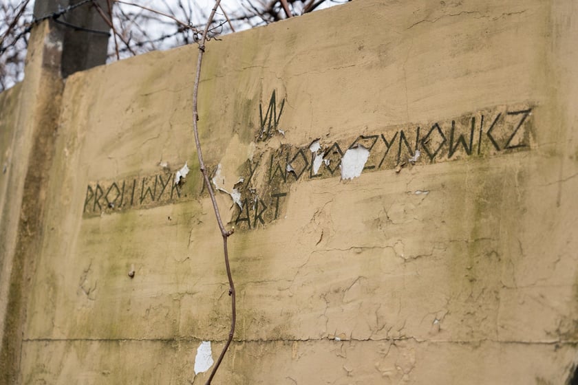 Mural autorstwa Jerzego Wołoszynowicza na ogrodzeniu zoo we Wrocławiu