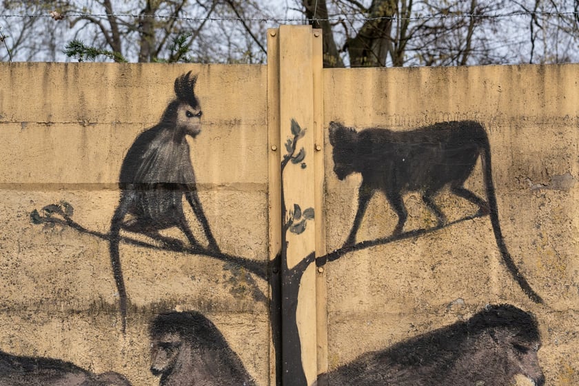 Mural autorstwa Jerzego Wołoszynowicza na ogrodzeniu zoo we Wrocławiu