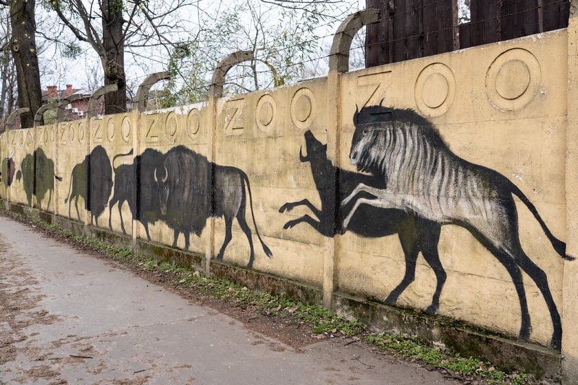 Mural autorstwa Jerzego Wołoszynowicza na ogrodzeniu zoo we Wrocławiu