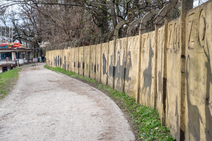 Mural autorstwa Jerzego Wołoszynowicza na ogrodzeniu zoo we Wrocławiu