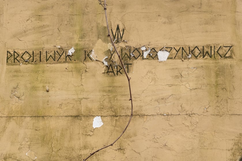 Mural autorstwa Jerzego Wołoszynowicza na ogrodzeniu zoo we Wrocławiu