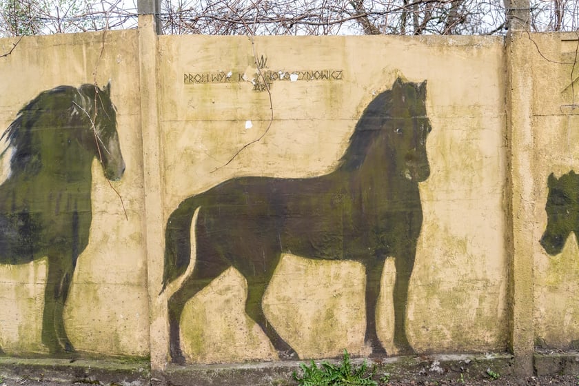 Mural autorstwa Jerzego Wołoszynowicza na ogrodzeniu zoo we Wrocławiu