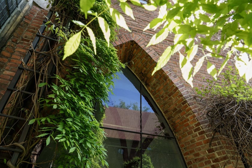 Wirydarz Muzeum Architektury