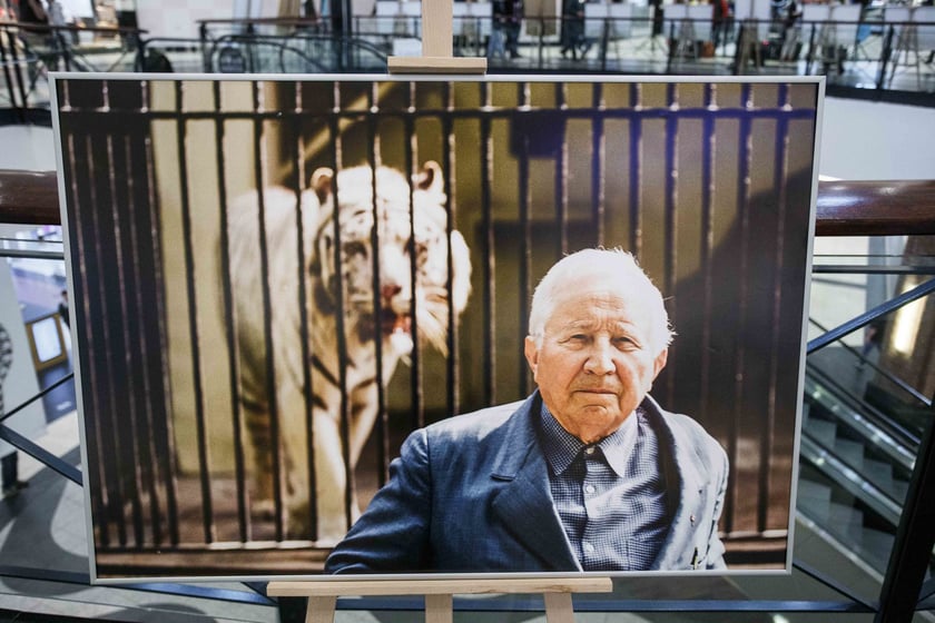 Tadeusz R&oacute;żewicz i tygrys na fotografii Adama Hawałeja