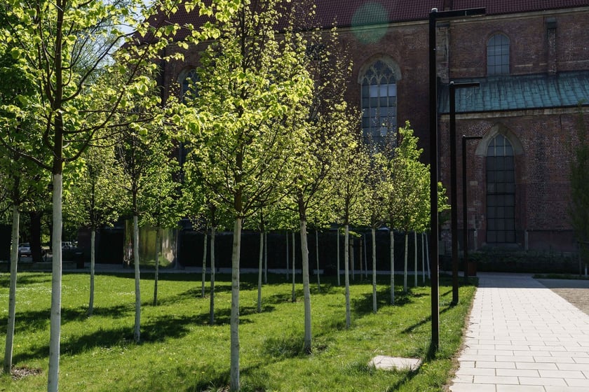 Skwer Wrocławianek przy Bernardyńskiej