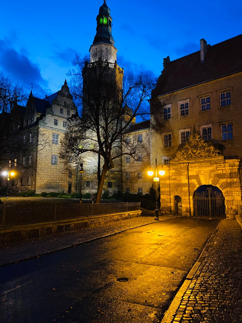 Zamek w Oleśnicy