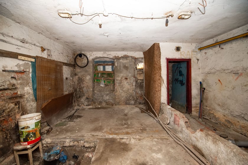 Przestrzenie (Brochów) Survivalu 2024