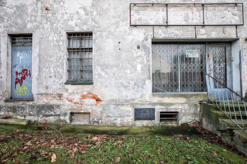 Przestrzenie Survivalu 2024