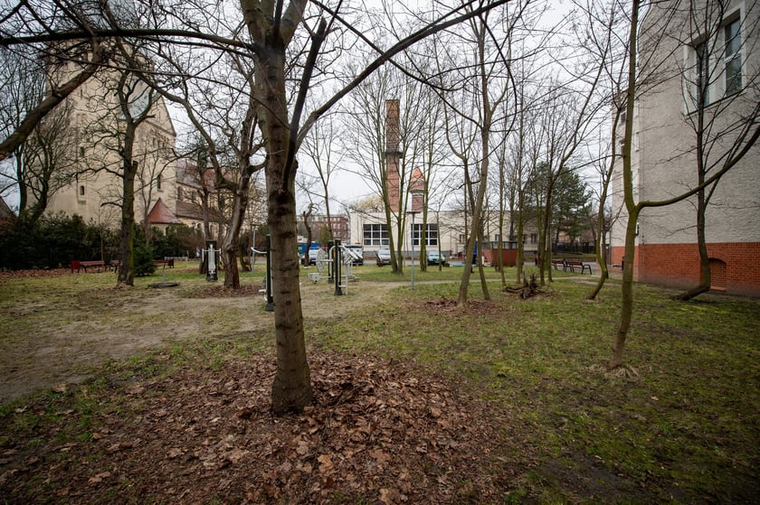 Przestrzenie Survivalu 2024