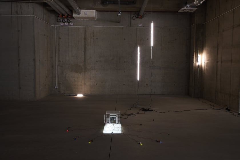 Wystawy na wydarzeniu Bulvary Art Week