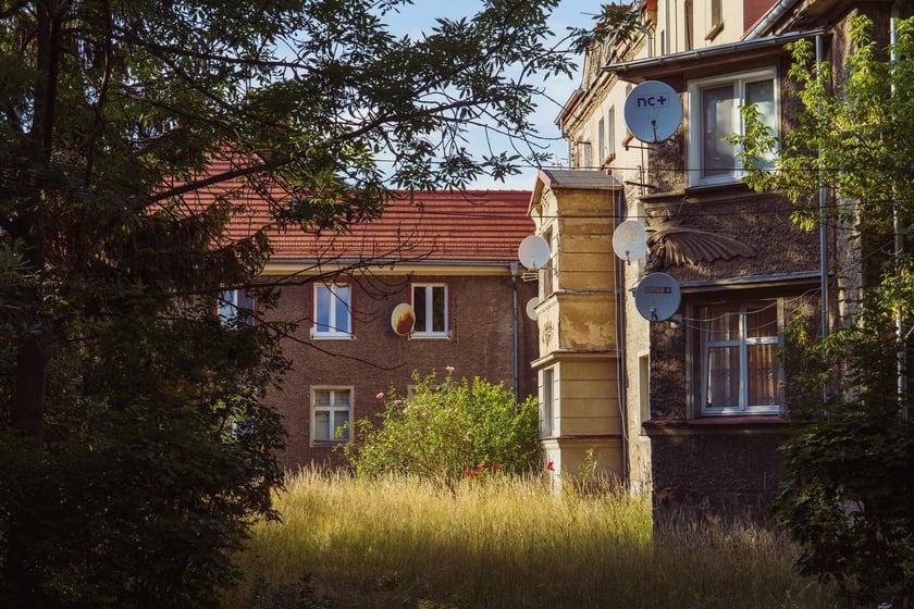 Survival 2024 i Brochów