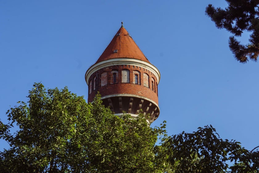Survival 2024 i Brochów