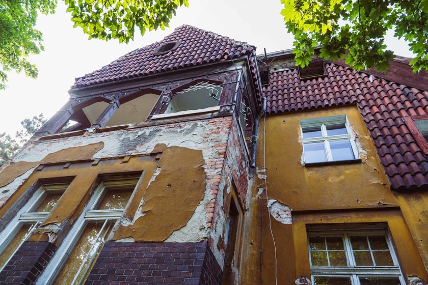 Survival 2024 i Brochów