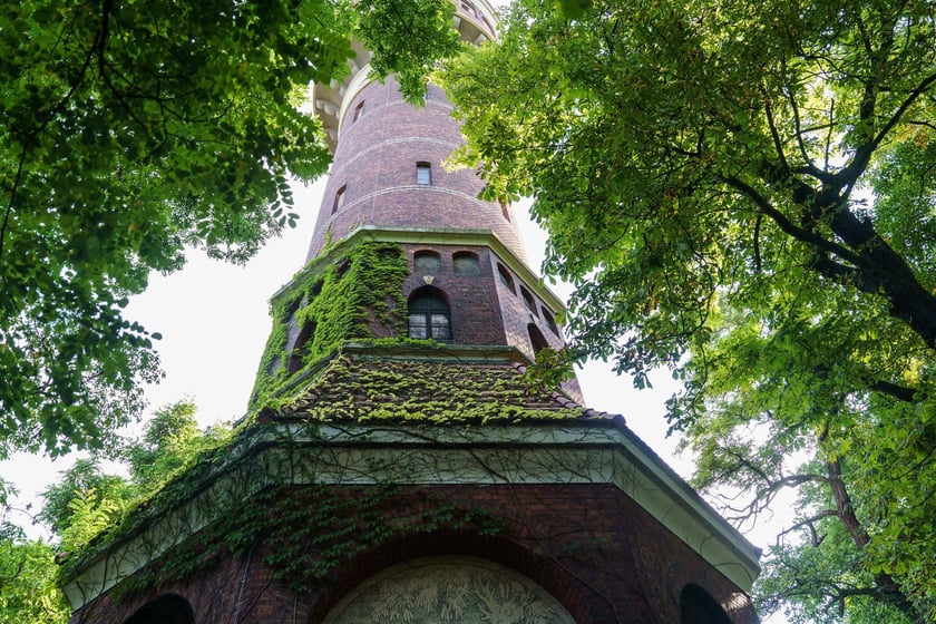 Survival 2024 i Brochów