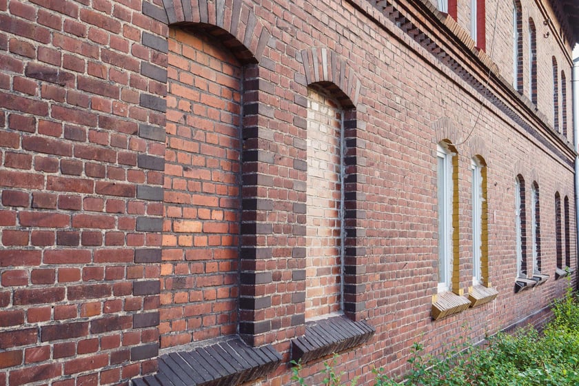 Survival 2024 i Brochów