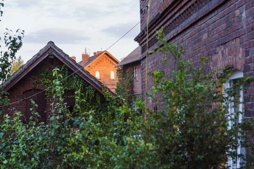 Survival 2024 i Brochów