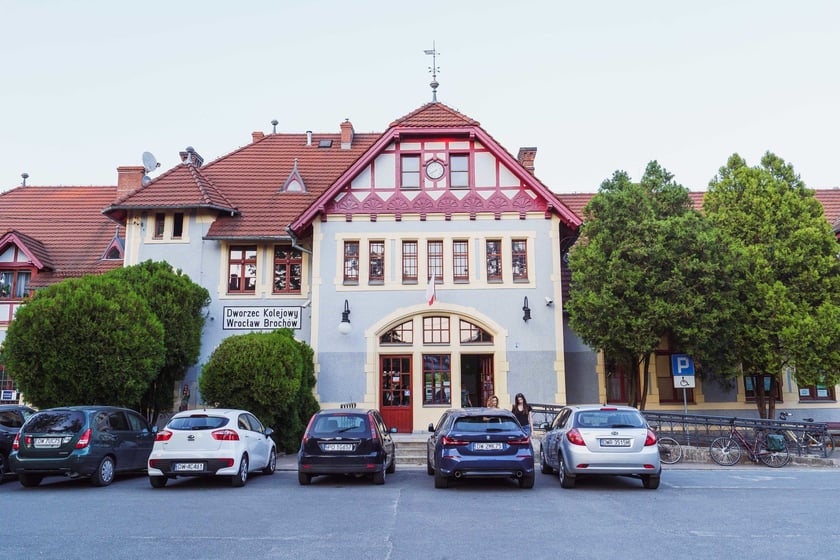 Survival 2024 i Brochów