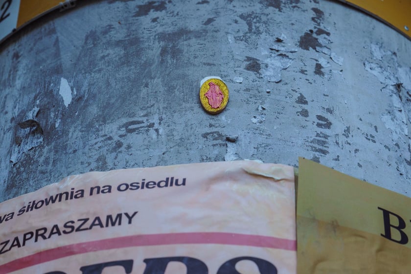 Survival 2024 i Brochów