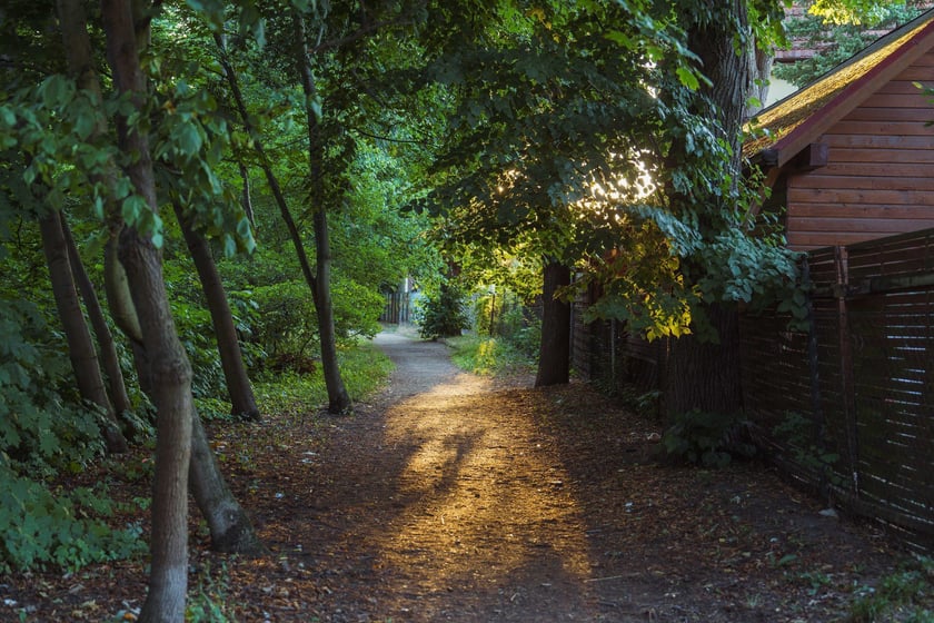 Survival 2024 i Brochów