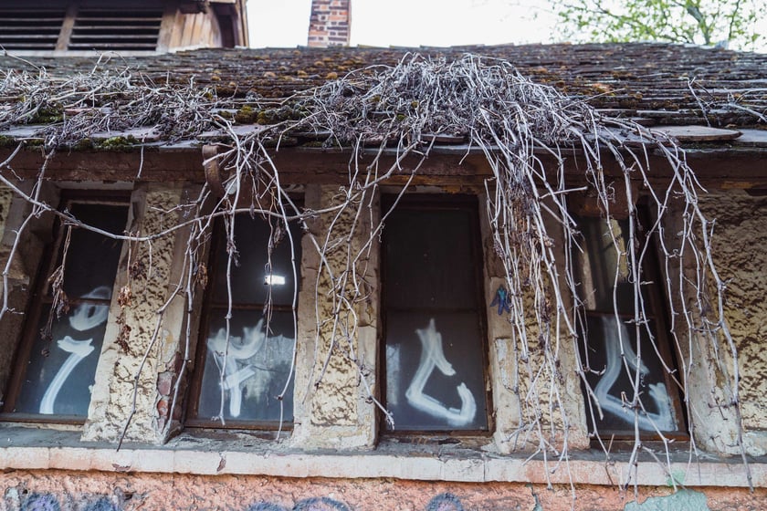 Survival 2024 i Brochów