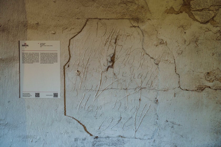 Survival 2024 i Brochów