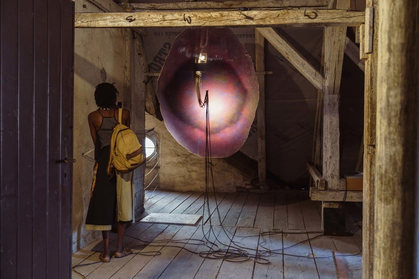 Survival 2024 i Brochów