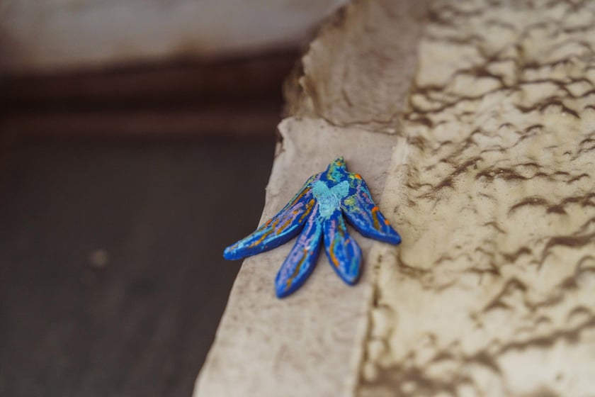 Survival 2024 i Brochów