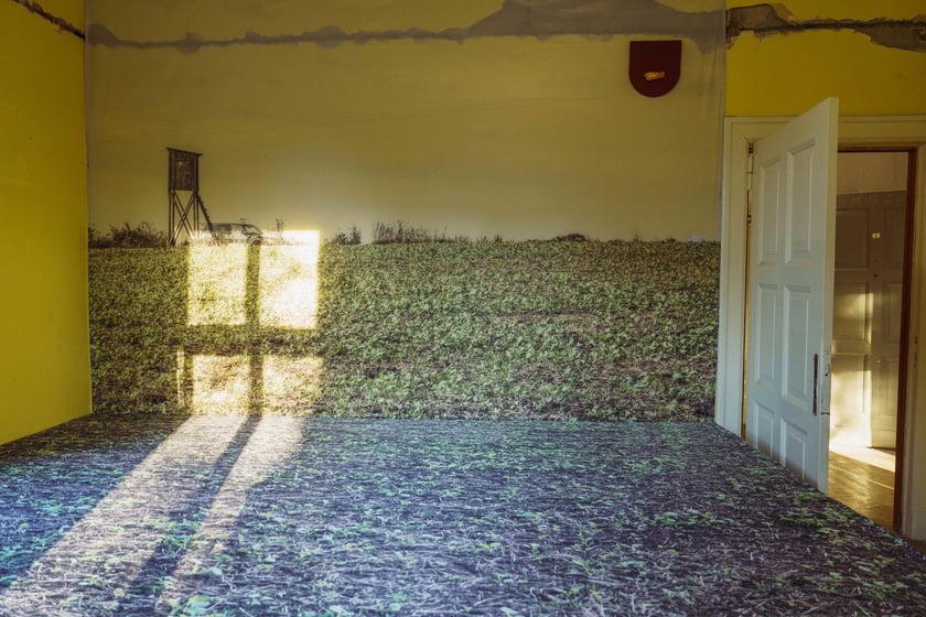 Survival 2024 i Brochów