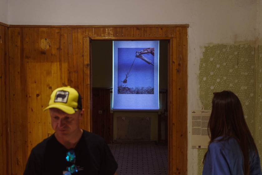 Survival 2024 i Brochów