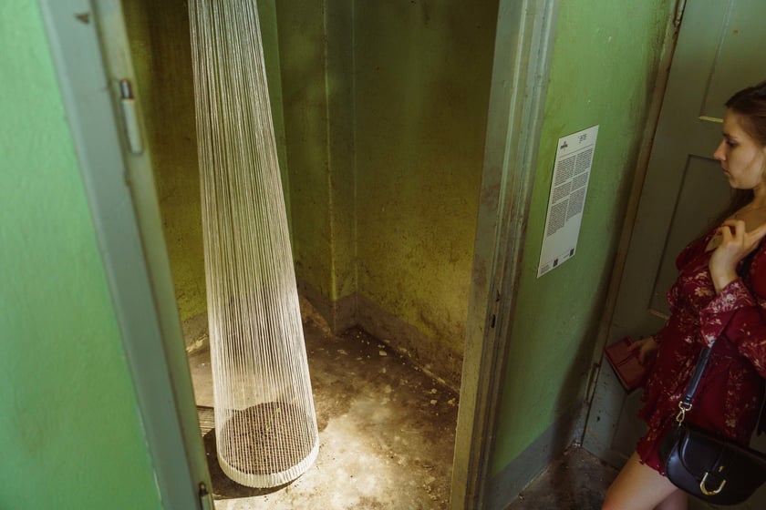 Survival 2024 i Brochów