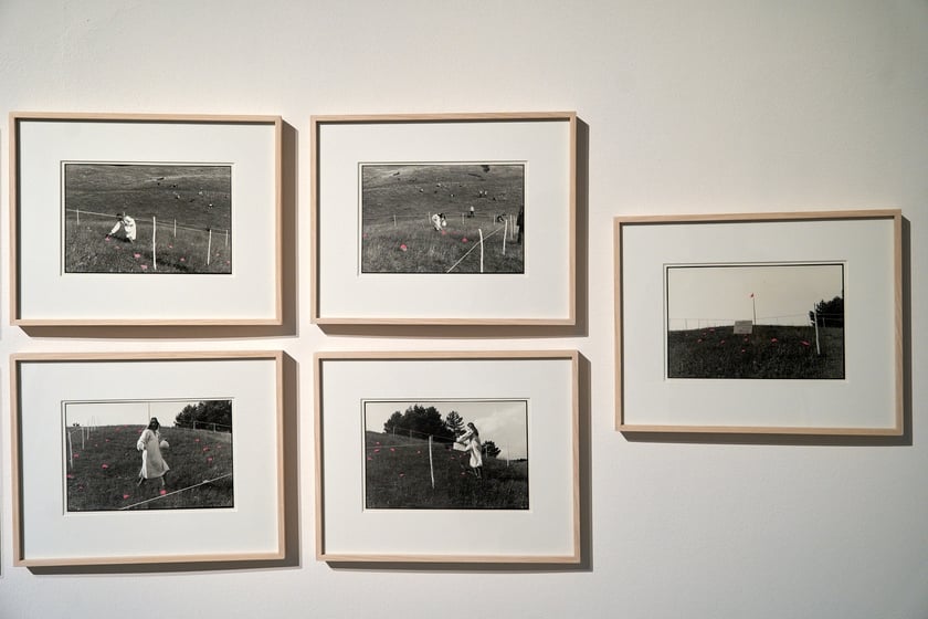 Prace Marii Pinińskiej-Bereś na wystawie w Pawilonie Czterech Kopuł we Wrocławiu